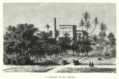 En trädgård i gamla Egypten (gravyr) av English School