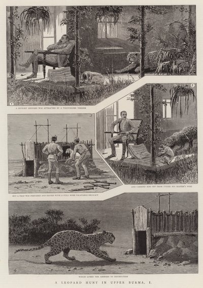 En leopardjakt i övre Burma, I (gravyr) av English School