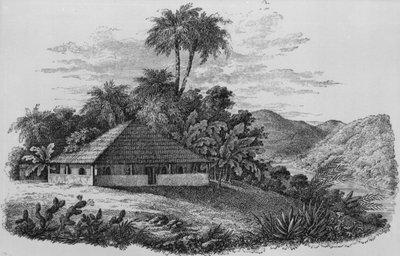 En planteras hus i Brasilien (litografi) av English School