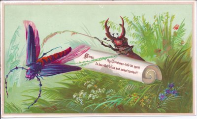 Ett viktorianskt julkort av en insekt, en hjortbagge och en rulla med ett julmeddelande, cirka 1880 av English School