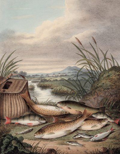 En bra dags fiske (färgad gravyr) av English School