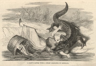 En damstrid med en träsk-alligator i Louisiana av English School
