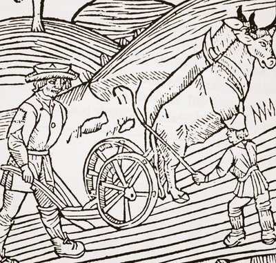 Ett par oxar okade till en plog, titelblad från John Fitzherberts Boke of Husbandry, första puben. 1523 av English School