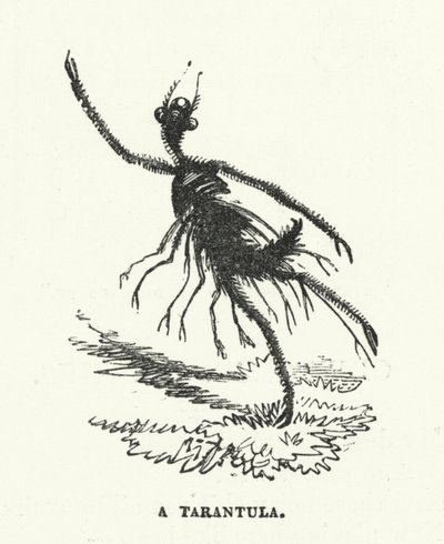 En tarantula (gravyr) av English School