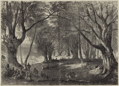 Utsikt i Epping Forest av English School
