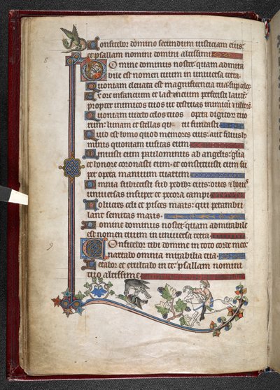 Lägg till MS 24686, f.14v, Pojke på ponny med falkjaktande anka, c.1284-1316 (vellum) av English School