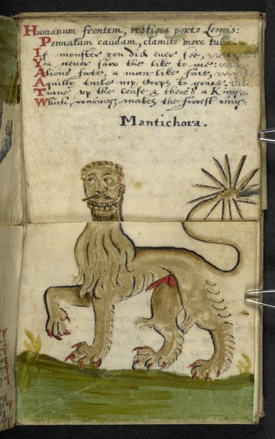 Lägg till MS 57312 f.11 spelbok (bläck & färg på veläng) av English School