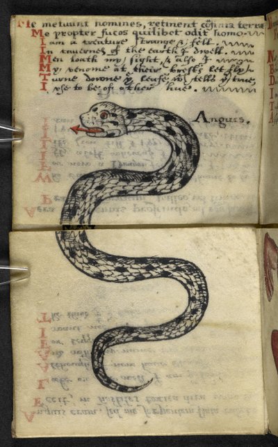 Lägg till MS 57312 f.4 spelbok (bläck & färg på veläng) av English School