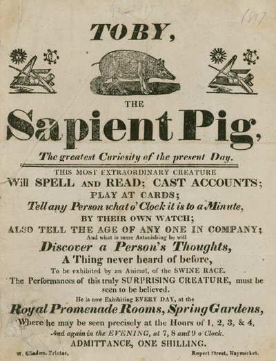 Annonsera för Toby the Sapient Pig, dagens största kuriosa av English School