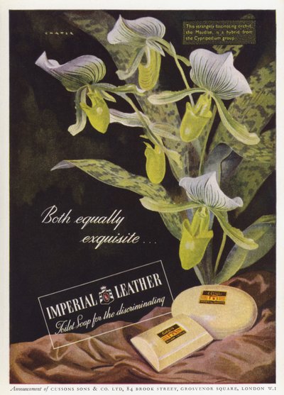 Annons för Cussons Imperial Lädertvål (färg litho) av English School