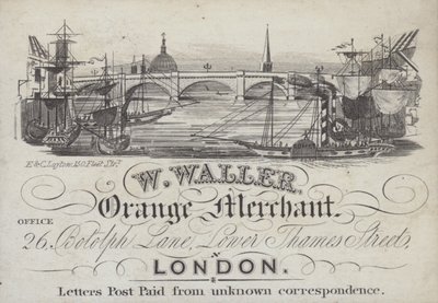 Annons för W Waller, Orange Merchant, London (litho) av English School