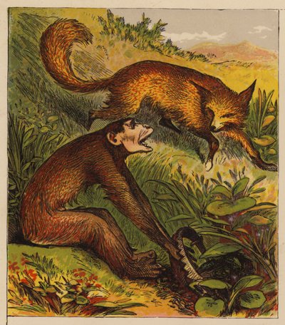 Aesops Fables: The Fox and the Ape (färg litho) av English School