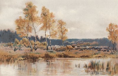Efter oktober månads bitande frost (chromolitho) av English School