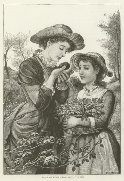 Agnes och Ethel hittar den lilla fågeln av English School