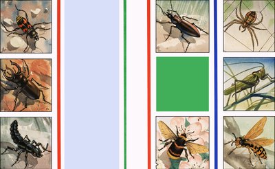Alla sorters insekter av English School