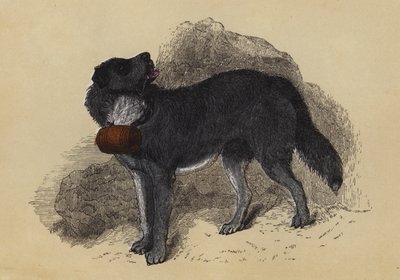 Alpin mastiff (färglitografi) av English School