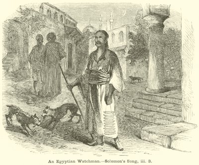 An Egyptian Watchman, Solomons sång, iii, 3 av English School