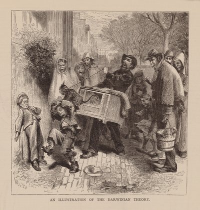 En illustration av den darwinistiska teorin (gravyr) av English School