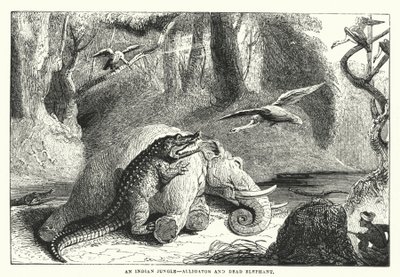 En indisk djungel, alligator och död elefant (gravyr) av English School