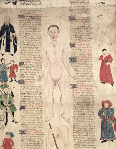 Anatomiskt diagram, från De arte phisicali e de cirugia av John Ardene, 1412 av English School