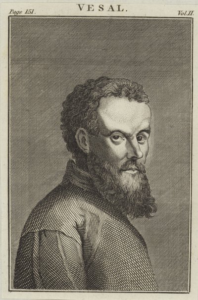 Andreas Vesalius av English School