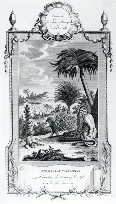 Animals of Maragnan, illustration hämtad från Moores Voyages and Travels, 1778 av English School