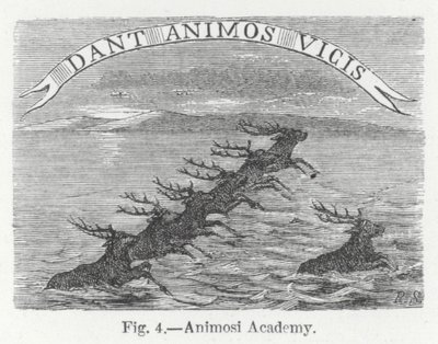 Animosi Academy (gravyr) av English School