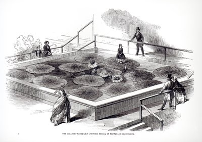Annie Paxton på Victoria regia näckros i Great Conservatory i Chatsworth, 1849 av English School