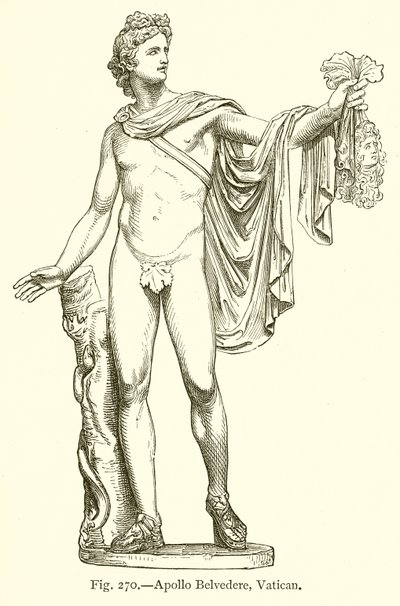 Apollo Belvedere, Vatikanen av English School