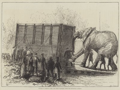 Försök att ta bort Jumbo, den stora elefanten, från Zoological Gardens (litho) av English School