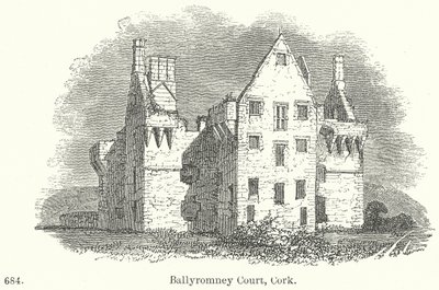 Ballyromney Court, Cork (gravyr) av English School