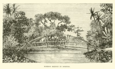 Bambubro i Borneo av English School