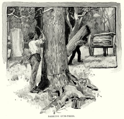 Barking Gum-Trees (gravyr) av English School