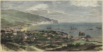 Viken och staden Funchal av English School