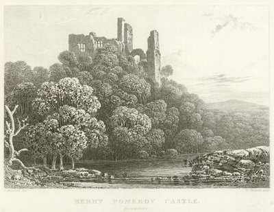 Berry Pomeroy Castle, Devonshire (gravyr) av English School