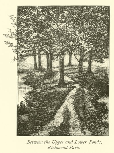 Mellan Upper och Lower Ponds, Richmond Park av English School