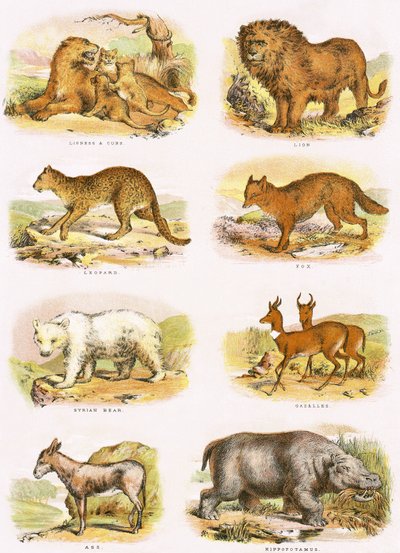Biblisk naturhistoria av English School