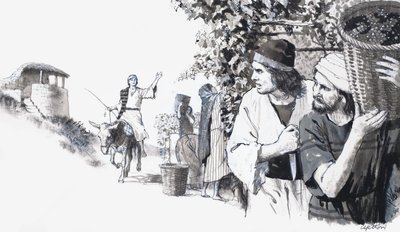 Biblisk vingård av English School