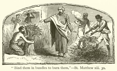 "Bind dem i buntar för att bränna dem", St Matteus, xiii, 30 (gravyr) av English School
