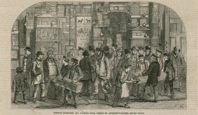 Fågelmässa, Great St Andrews Street, Seven Dials, London av English School