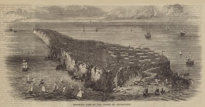 Fågelperspektiv över ön Helgoland (gravyr) av English School