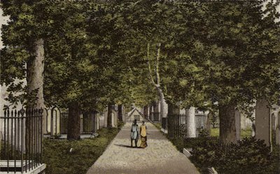 Birmingham: Harborne Avenue (färg litho) av English School