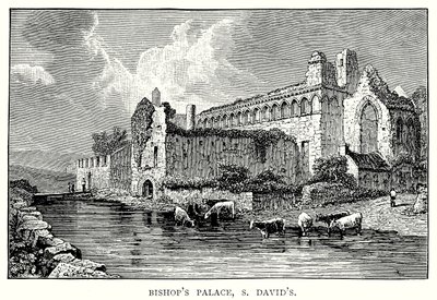 Biskopspalatset, S David