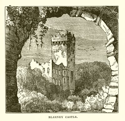 Blarney slott av English School