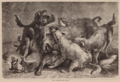 Vildsvinsjakt, attacken (gravyr) av English School