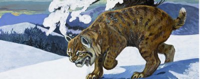 Bobcat av English School