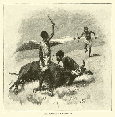 Bosjesmans eller Bushmen av English School
