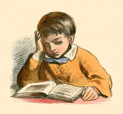 Pojke läser av English School