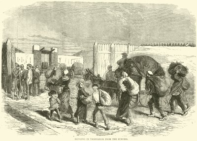 Införa grönsaker från förorten, oktober 1870 av English School
