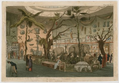 Bullocks Museum av English School